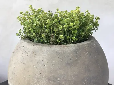 Ferienwohnung für 4 Personen (100 m²) in Riedenburg 10/10