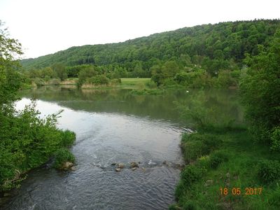 Stadtweiher 2