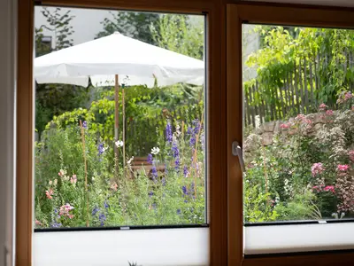 Blick aus dem Fenster im Juni/Juli