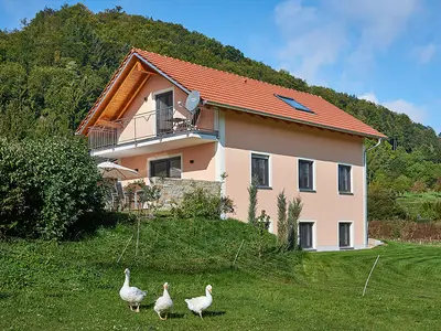 Ferienwohnung für 4 Personen (62 m²) in Riedenburg 3/8