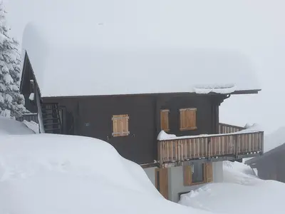 bei Neuschnee