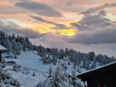 Morgens der erste Blick