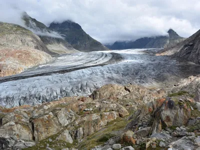 Aletsch 024