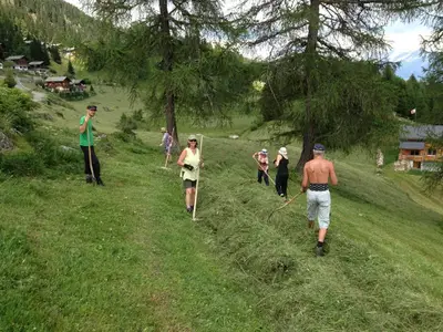 Alpwirtschaft