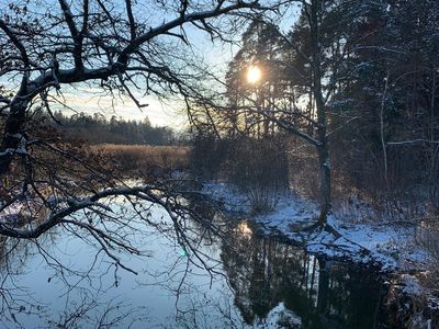 BeimDanner_winterabend