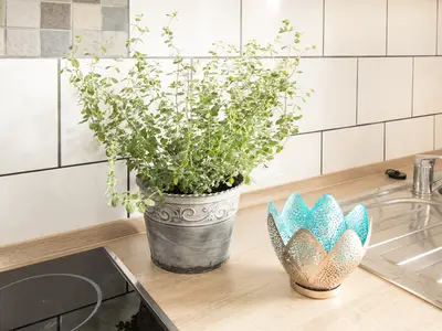 9_reifnhof_frischekraeuter_k4997