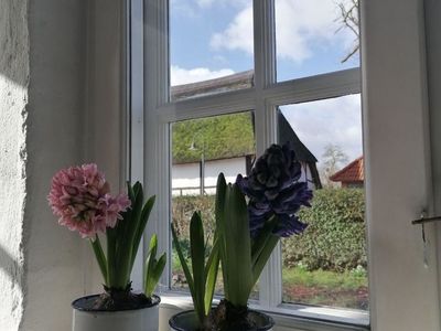 Ferienwohnung für 4 Personen (40 m²) in Riepsdorf 8/10