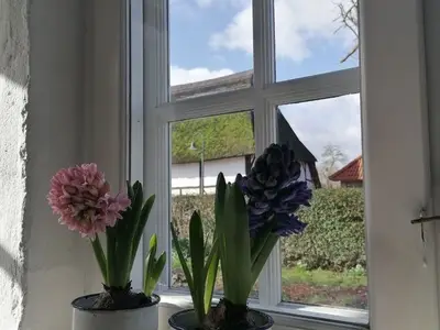 Ferienwohnung für 4 Personen (40 m²) in Riepsdorf 8/10