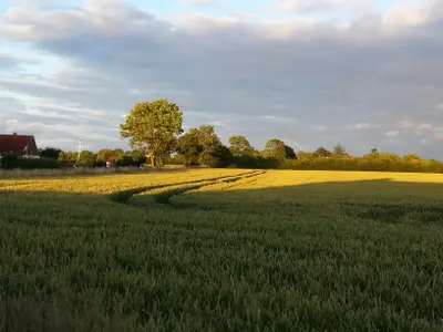 Ferienwohnung für 3 Personen (50 m²) in Altratjensdorf 9/10