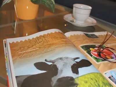 Ferienwohnung für 4 Personen (55 m²) in Riepsdorf 4/10