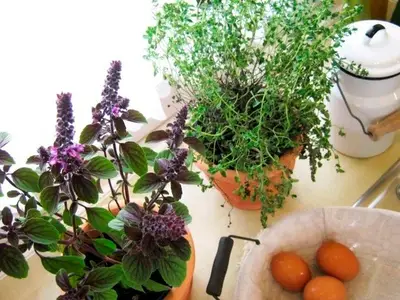 Ferienwohnung für 4 Personen (55 m²) in Gosdorf 8/10