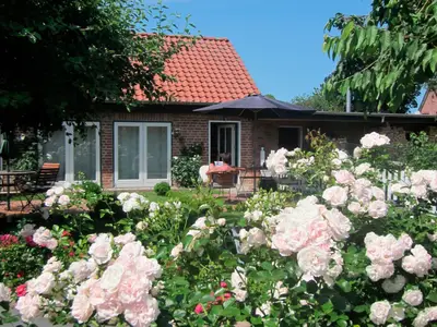 Ferienwohnung für 4 Personen (55 m²) in Riepsdorf 1/10