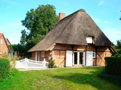 Ferienwohnung für 4 Personen (55 m²) in Riepsdorf 2/10