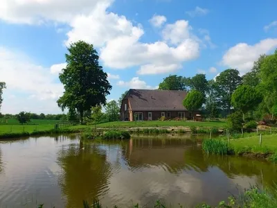 Ferienwohnung für 4 Personen (68 m²) in Rieseby 4/10
