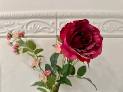 Ferienwohnung für 2 Personen (45 m²) in Rieseby 10/10