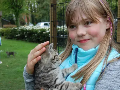 Ferienwohnung für 4 Personen (50 m²) in Rieste 9/10