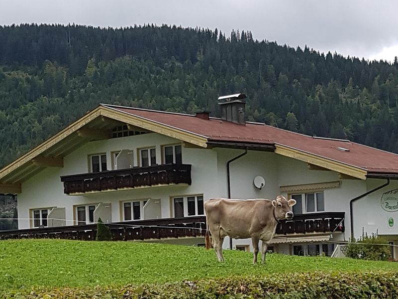 22190745-Ferienwohnung-4-Riezlern-800x600-1