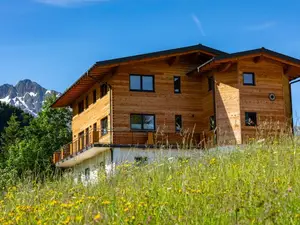 Ferienwohnung für 2 Personen (50 m²) in Riezlern