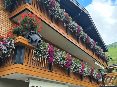 Haus Alpenglück