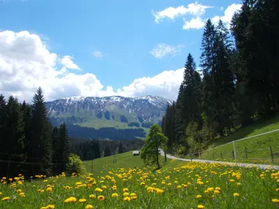 Blick-vom-Haus