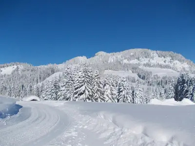 BerghofFelder-KWT-Winterwanderweg