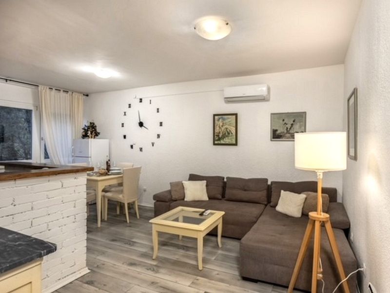 23919403-Ferienwohnung-4-Rijeka-800x600-1