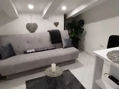Ferienwohnung für 3 Personen in Rijeka 4/10