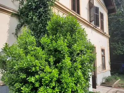 Ferienwohnung für 5 Personen in Rijeka 2/10
