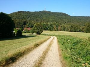 23083573-Ferienwohnung-4-Rimbach-300x225-5