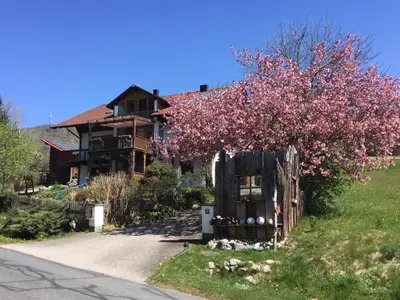 Haus