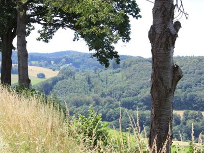 Ferienwohnung für 4 Personen (65 m²) in Rimbach (Odenwald) 8/10