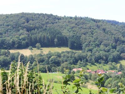 Ferienwohnung für 4 Personen (65 m²) in Rimbach (Odenwald) 10/10