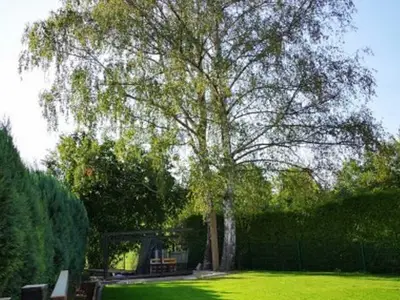 Ferienwohnung für 3 Personen (40 m²) in Rimbach (Odenwald) 6/10