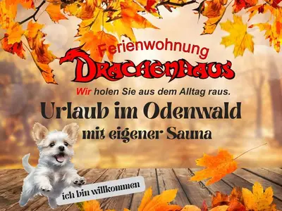 Ferienwohnung für 3 Personen (80 m²) in Rimbach (Odenwald) 1/10