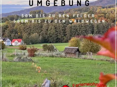 Ferienwohnung für 3 Personen (80 m²) in Rimbach (Odenwald) 6/10