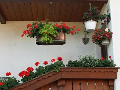Ferienwohnung für 5 Personen (75 m²) in Rinn 4/10
