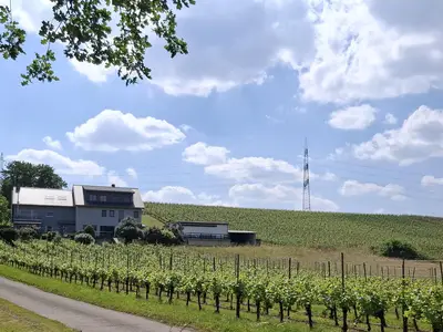 Hausansicht 2