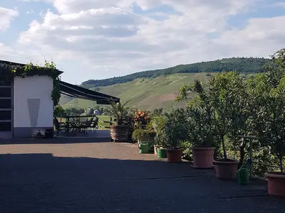 Hofeinfahrt mit Terasse