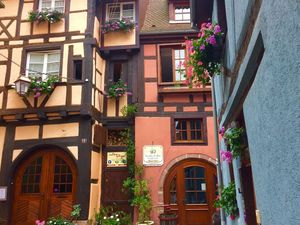 19345755-Ferienwohnung-3-Riquewihr-300x225-4