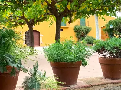 TerraceBalcony