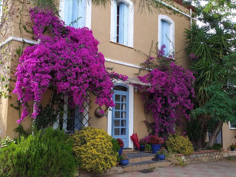 23369948-Ferienwohnung-6-Rivesaltes-800x600-0