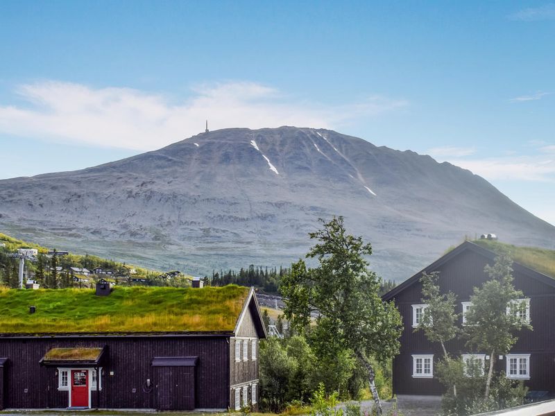 23823253-Ferienwohnung-6-Rjukan-800x600-1