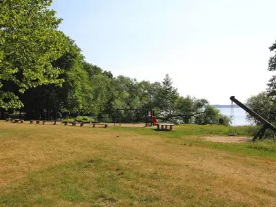 ViewSummer