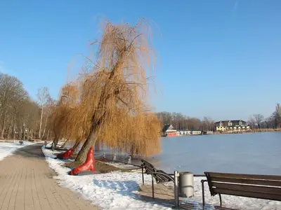 Ferienwohnung für 5 Personen (68 m²) in Röbel/Müritz 2/10