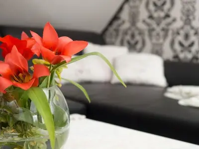 Ferienwohnung für 8 Personen (80 m²) in Amt Röbel-Müritz 5/10