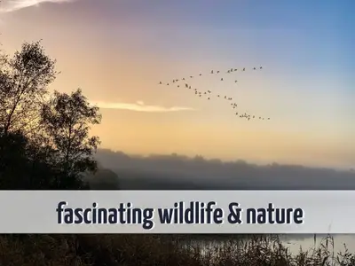 Sport / Aktivitäten