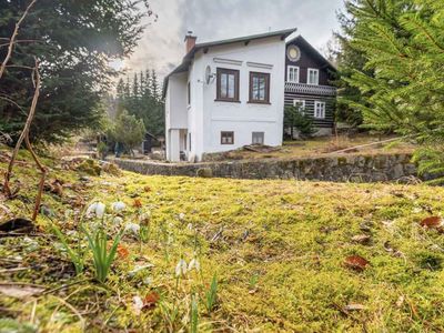 Ferienwohnung für 17 Personen (140 m²) in Rochlitz an der Iser 3/10