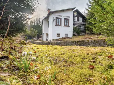 Ferienwohnung für 17 Personen (140 m²) in Rochlitz an der Iser 3/10