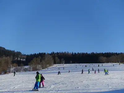 AreaWinter1KM