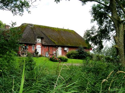 Das Reetdachhaus mit umgebendem Garten und Grünflächen.
